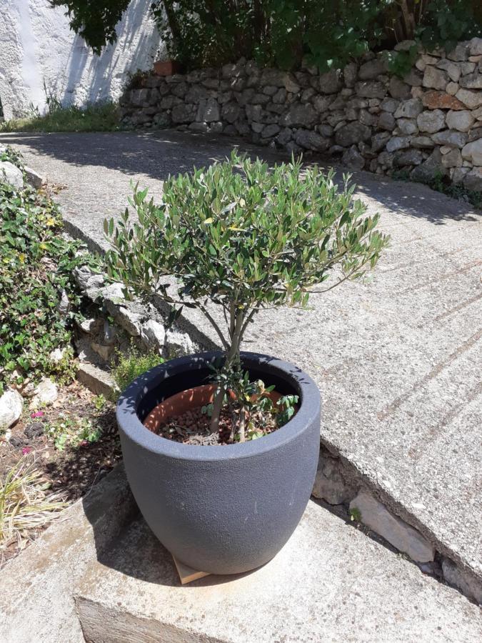 Apartman Danijela Zagorje Bagian luar foto