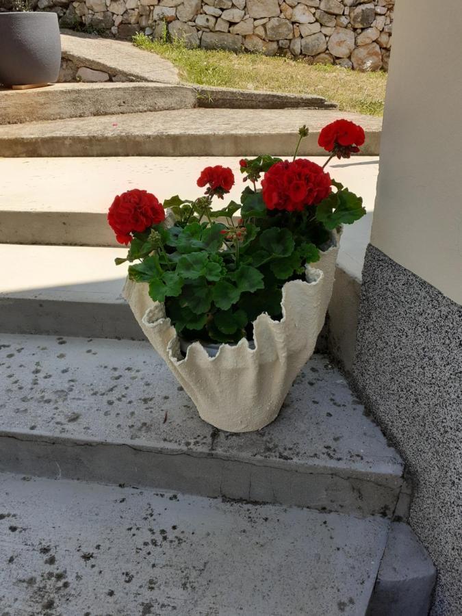 Apartman Danijela Zagorje Bagian luar foto