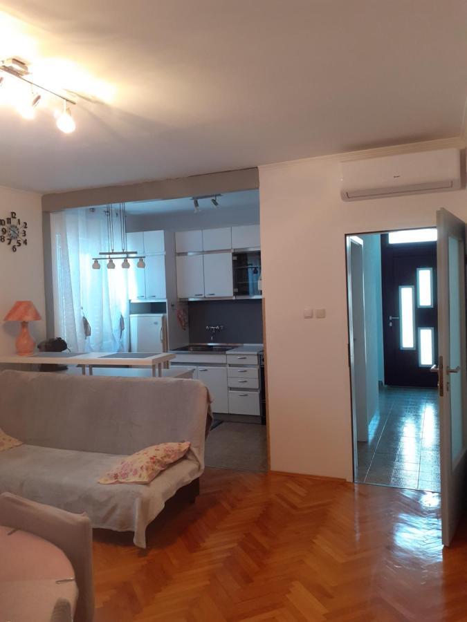Apartman Danijela Zagorje Bagian luar foto