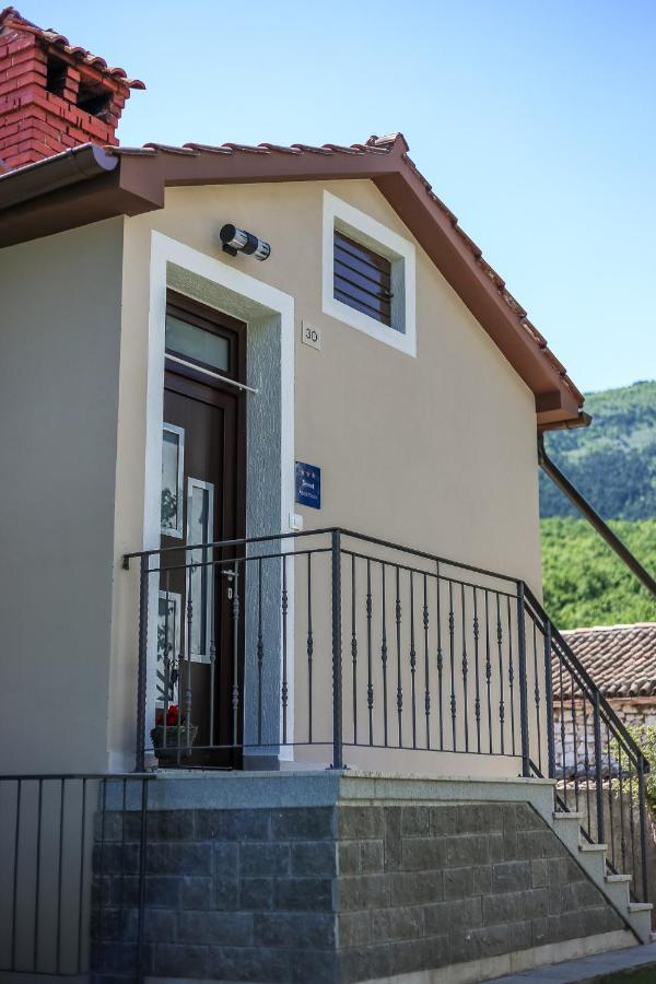 Apartman Danijela Zagorje Bagian luar foto