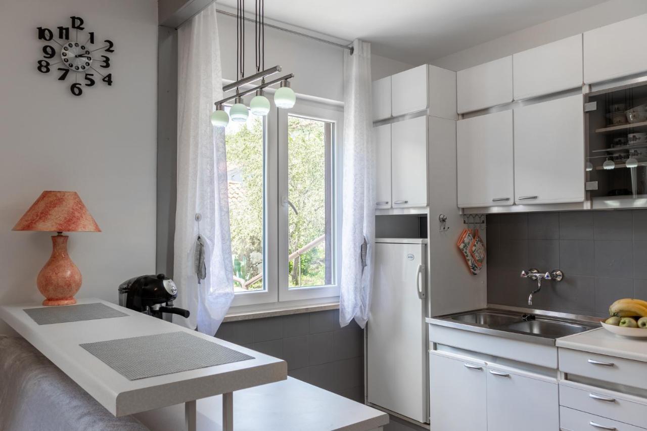 Apartman Danijela Zagorje Bagian luar foto