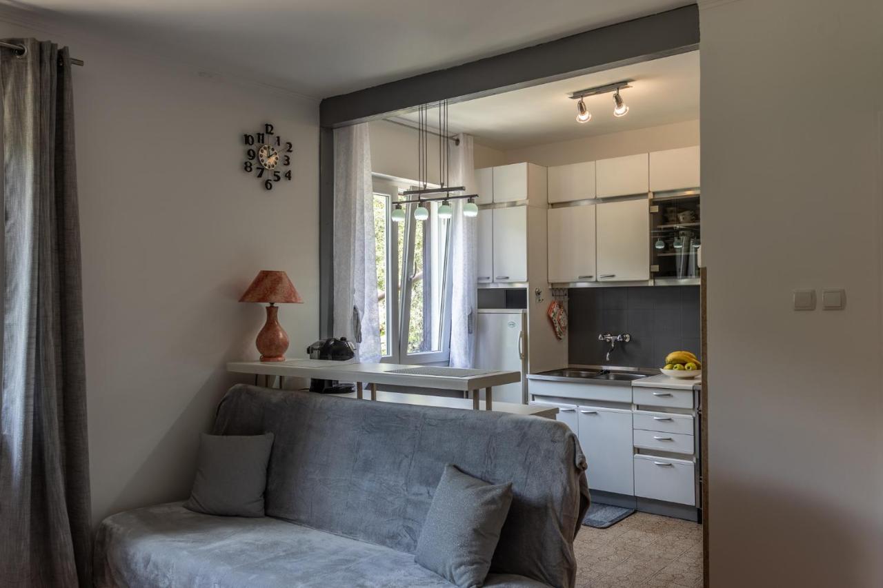 Apartman Danijela Zagorje Bagian luar foto