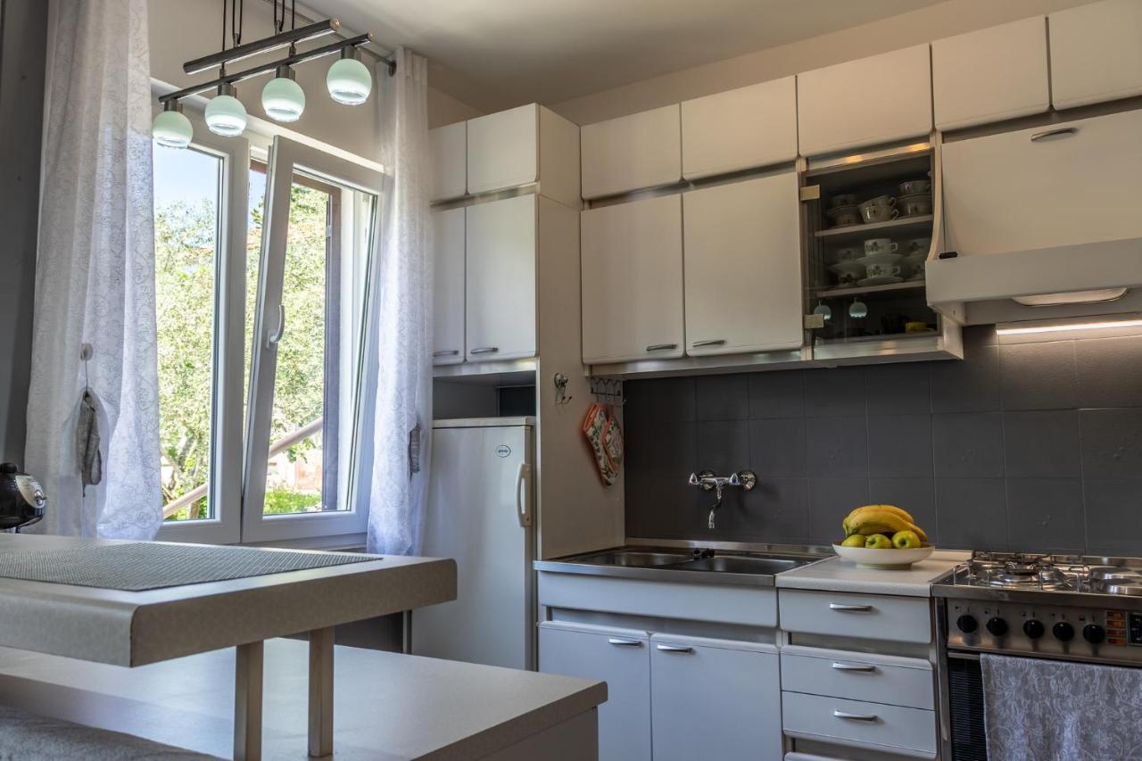 Apartman Danijela Zagorje Bagian luar foto