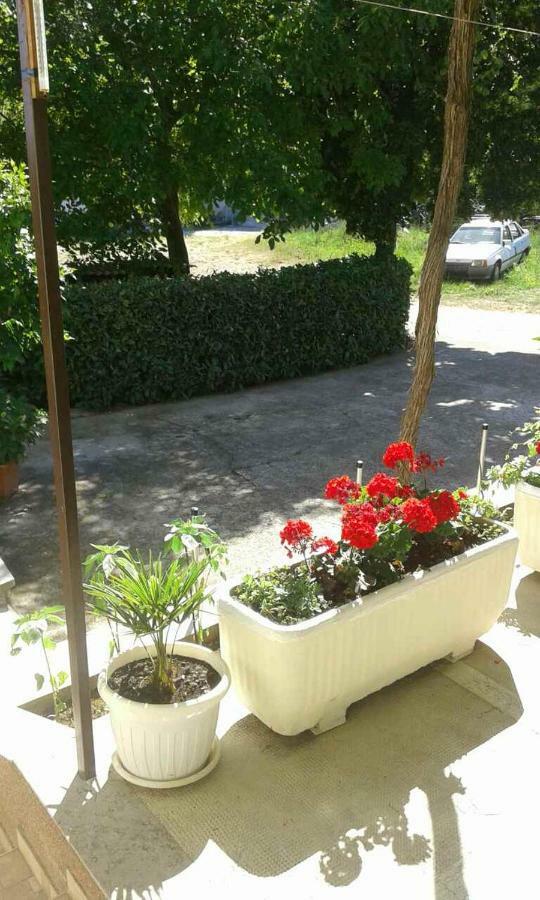 Apartman Danijela Zagorje Bagian luar foto
