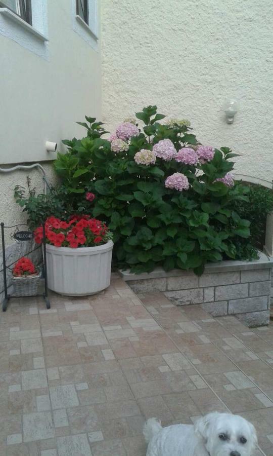 Apartman Danijela Zagorje Bagian luar foto